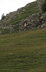 IMG_6362.jpg