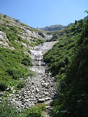 IMG_6382.jpg