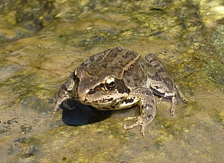 IMG_6385.jpg