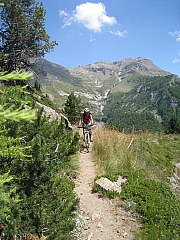 IMG_6387.jpg