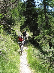 IMG_6392.jpg