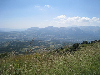 IMG_6397.jpg