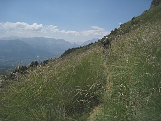 IMG_6404.jpg
