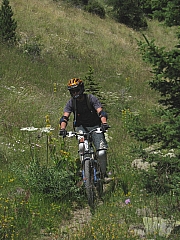 IMG_6408.jpg