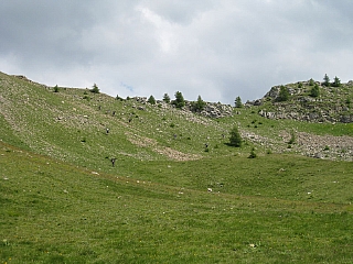 IMG_6445.jpg