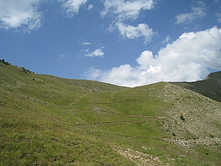 IMG_6453.jpg