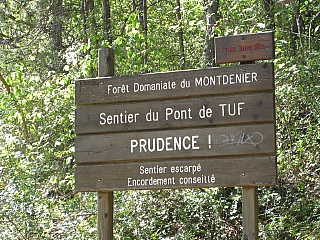 IMG_6582.jpg