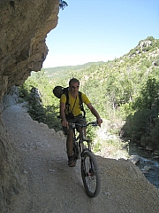 IMG_6585.jpg