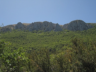 IMG_6603.jpg