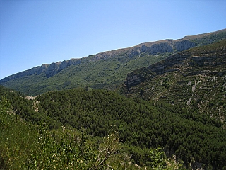 IMG_6606.jpg