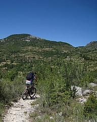 IMG_6608.jpg