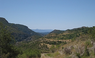 IMG_6613.jpg
