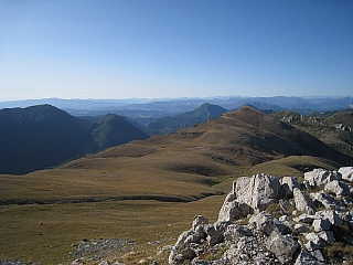 IMG_6657.jpg