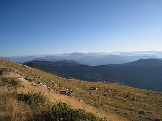 IMG_6700.jpg