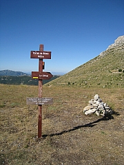 IMG_6716.jpg