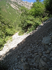 IMG_6749.jpg