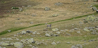 IMG_6859.jpg