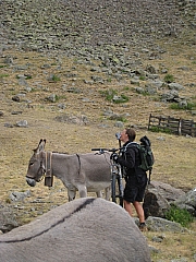 IMG_6867.jpg