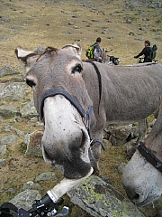 IMG_6869.jpg